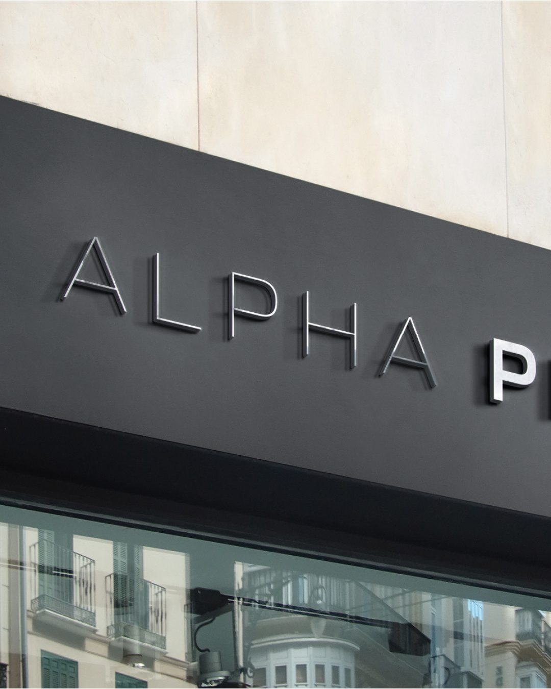AlphaPi-Branding-12